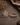 Diamond Rings